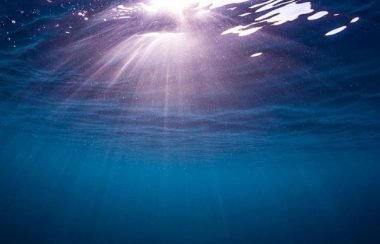 Dicas para criar uma estratégia de Estratégia do Oceano Azul no varejo (2) Dicas para criar uma estratégia de Estratégia do Oceano Azul no varejo